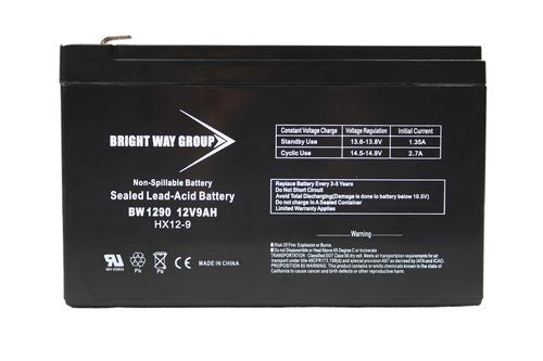 SLA Batteries (bright_BW 1290 NB)