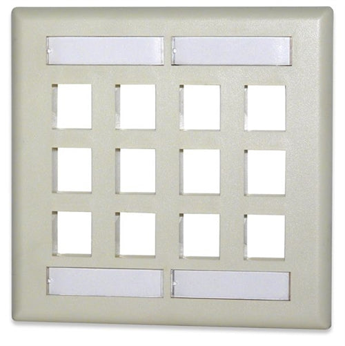 12-Port Double Gang Keystone F (DKFL-12)