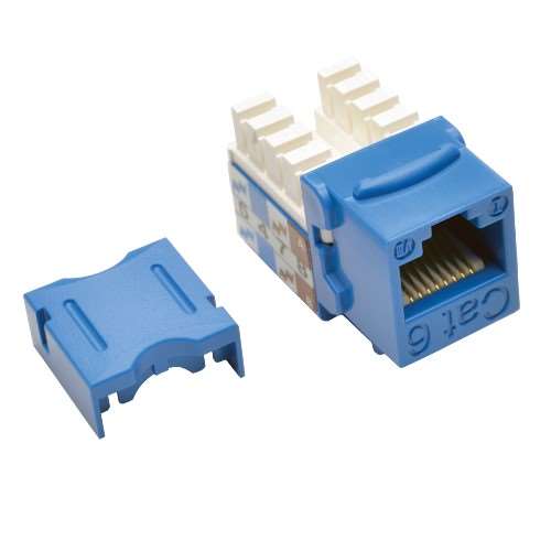 Cat6/Cat5e 110 Style Punch Down Keystone Jack - Blue (tripp_N238-001-BL)