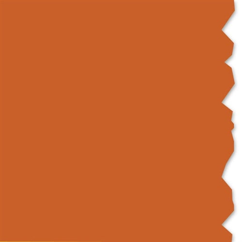 Continuous Solid Color Vinyl Roll (558-00336)