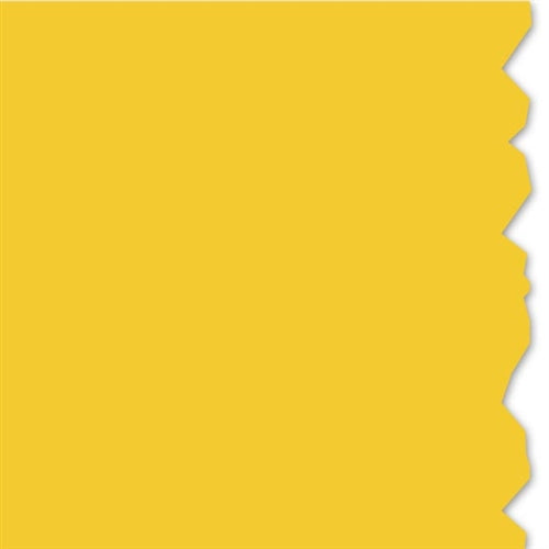 Continuous Solid Color Vinyl Roll (558-00346)